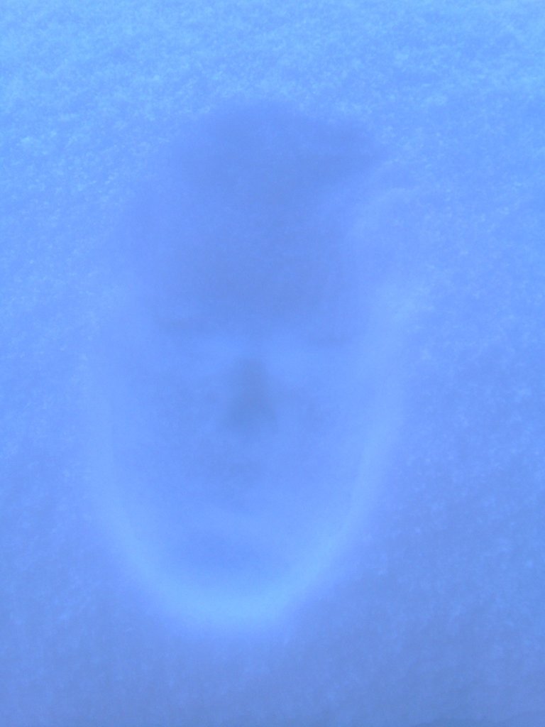 Foto 23